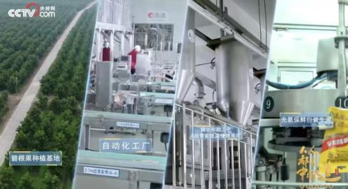 洽洽食品榮膺“十四五”雙項殊榮，樹立堅果行業管理新標桿